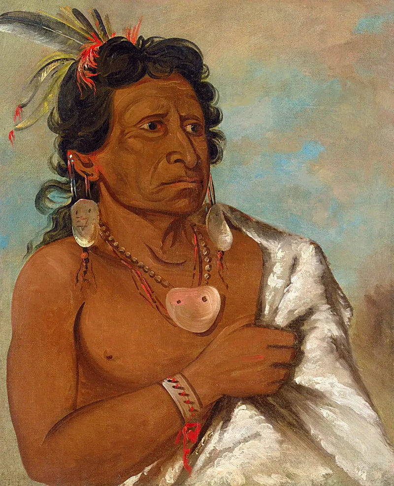 U'sh-ee-kitz, Die vecht met een veer, stamhoofd - George Catlin

Source:
U'sh-ee-kitz, Celui qui se bat avec une plume, chef de la tribu - George Catlin