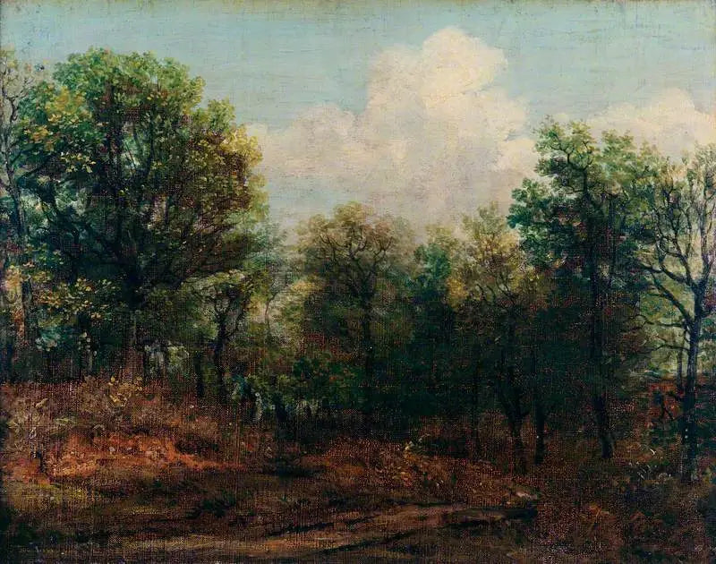 Een hout - John Constable