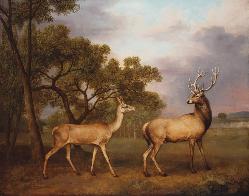 Een mannelijke edelhert en een hinde - George Stubbs

Source:
Un cerf élaphe mâle et une biche - George Stubbs