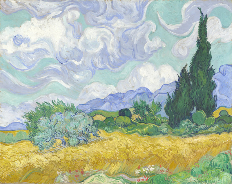 Een tar field met cypressen - Vincent van Gogh