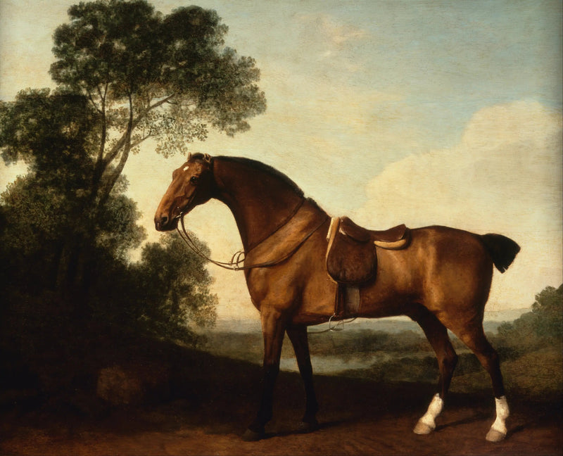 Een jager van een gesloten baai - George Stubbs

Source:
Un chasseur de baie sellé - George Stubbs