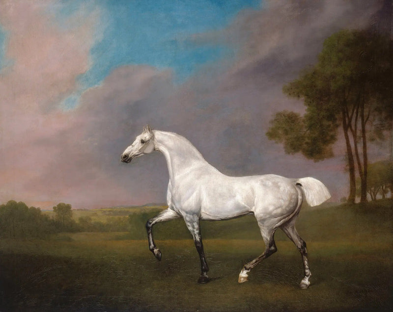 Een grijze paard - George Stubbs

Source:
Un cheval gris - George Stubbs