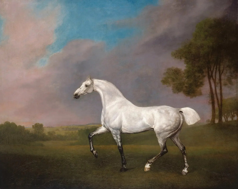 Een grijze paard - George Stubbs

Source:
Un cheval gris - George Stubbs