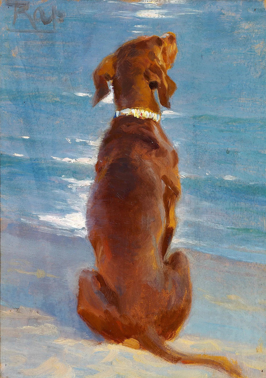 Een bruine hond zittend. Rap. - Peder Severin Krøyer