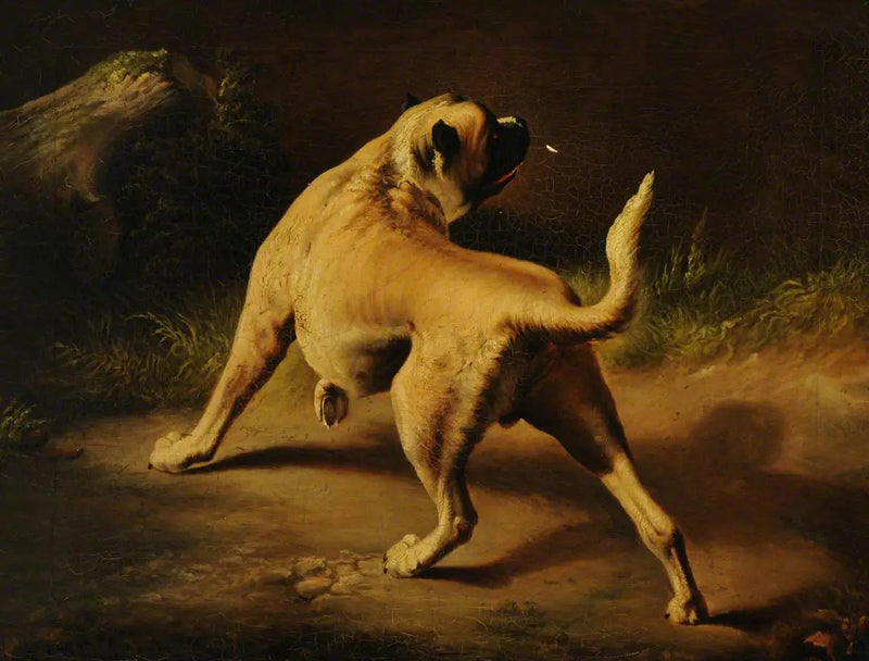 Een waakzame hond - Edwin Henry Landseer

Source:
Un chien en alerte - Edwin Henry Landseer