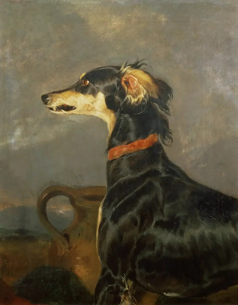 Een Saluki-hond - Edwin Henry Landseer

Source:
Un chien Saluki - Edwin Henry Landseer