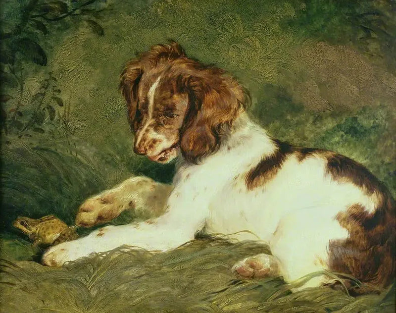 Een puppy plaagt een kikker - Edwin Henry Landseer

Source:
Un chiot taquine une grenouille - Edwin Henry Landseer