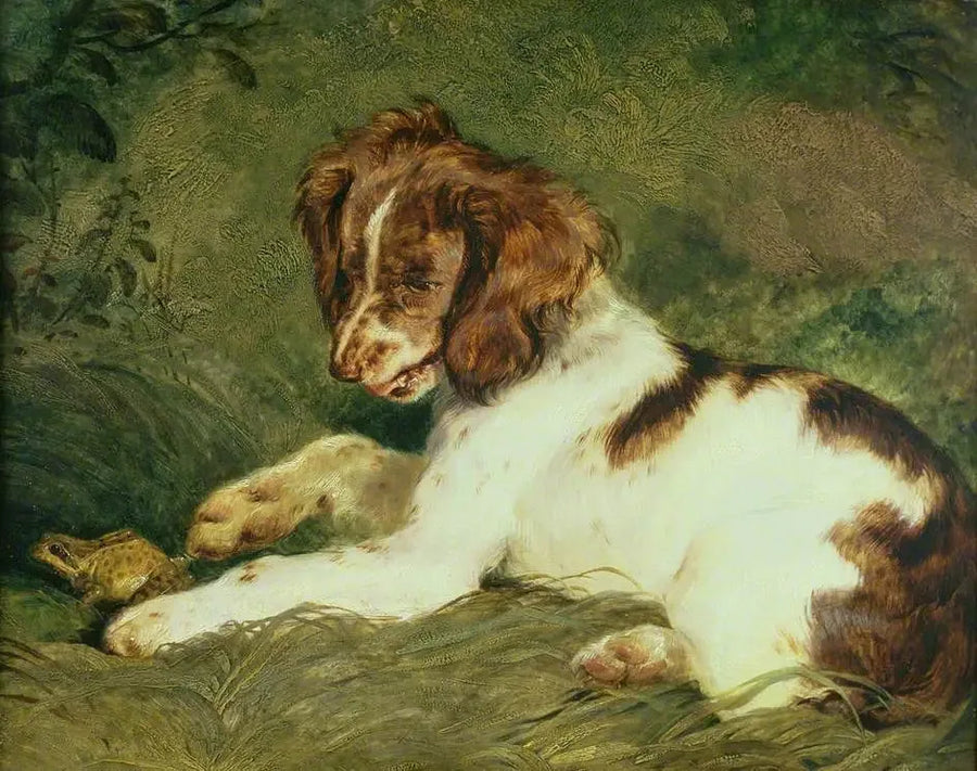 Een puppy plaagt een kikker - Edwin Henry Landseer

Source:
Un chiot taquine une grenouille - Edwin Henry Landseer