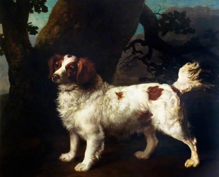 Een Clumber Spaniel - George Stubbs

Source:
Un Clumber Spaniel - George Stubbs