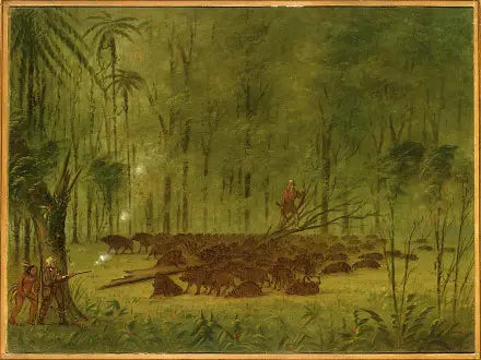 Een gevecht met pekari's - Caraïben - George Catlin

Source:
Un combat avec des pécaris - Caraïbes - George Catlin