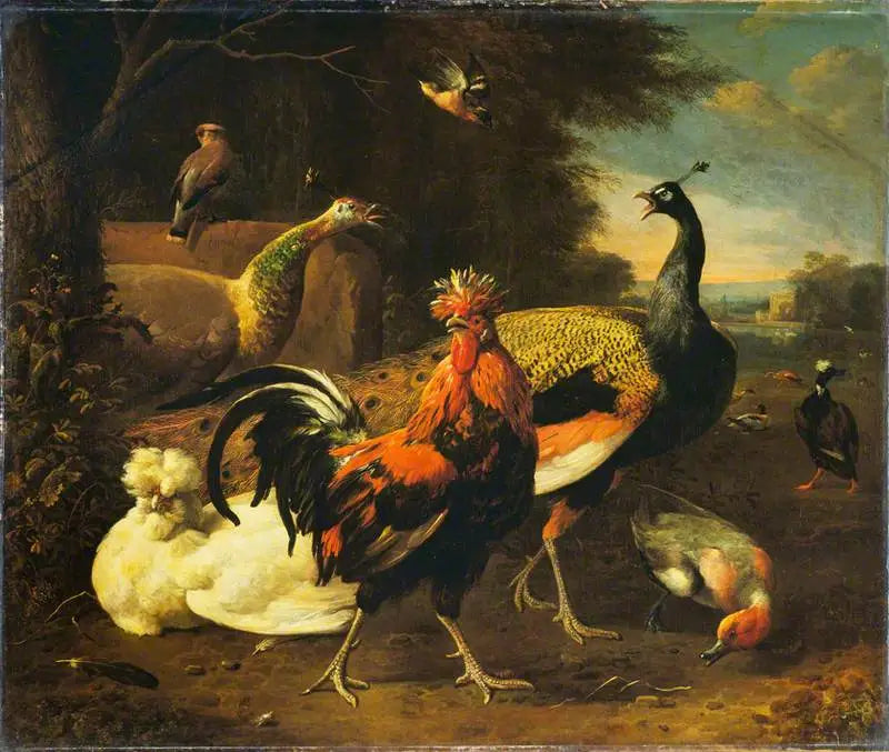 Een haan met andere vogels - Melchior de Hondecoeter