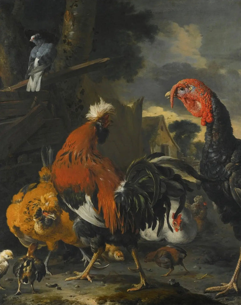 Een haan, een kalkoen, kippen en kuikens in een boerderij - Melchior de Hondecoeter