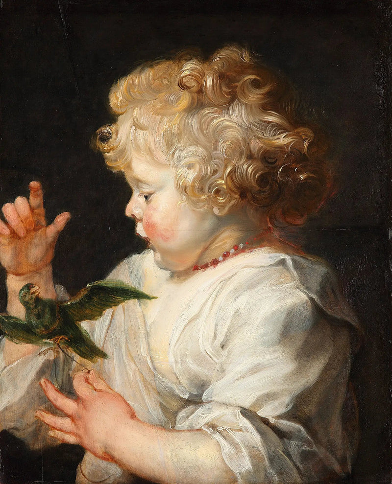 Een kind met een vogel - Peter Paul Rubens