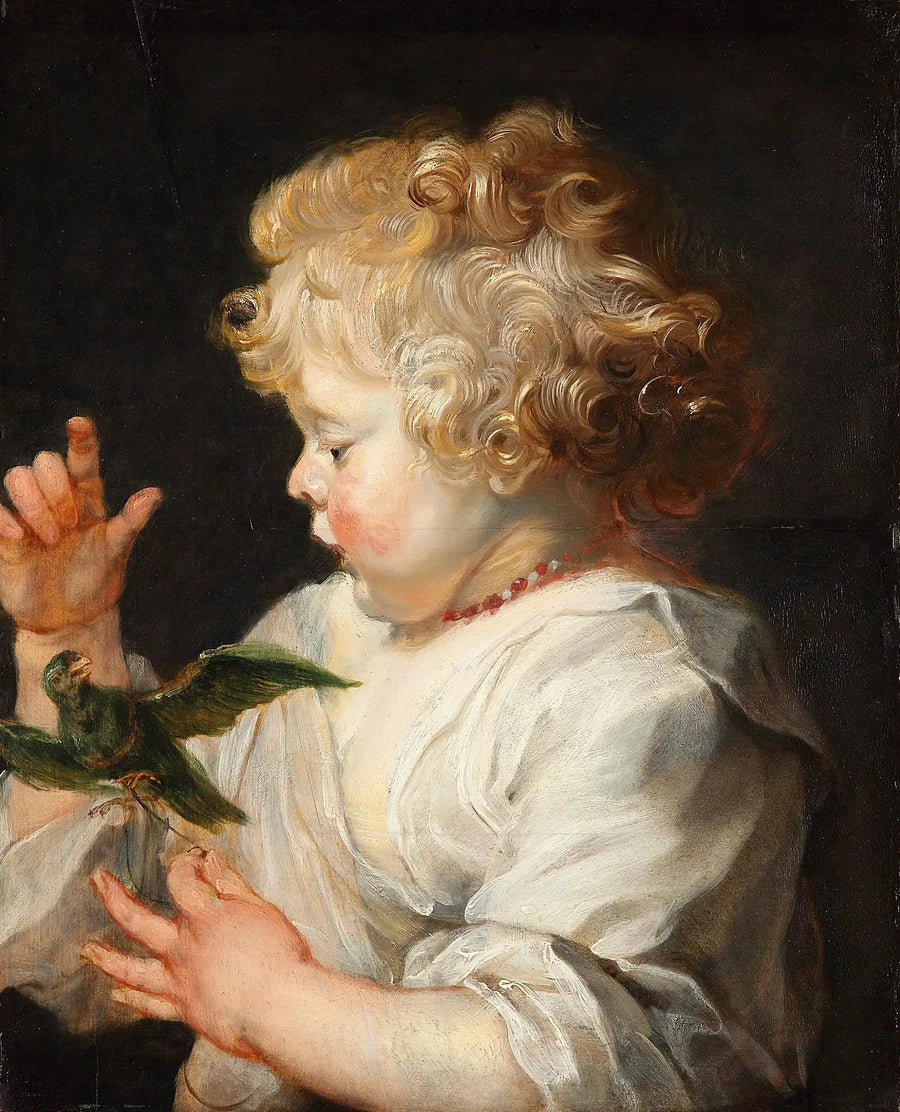 Een kind met een vogel - Peter Paul Rubens