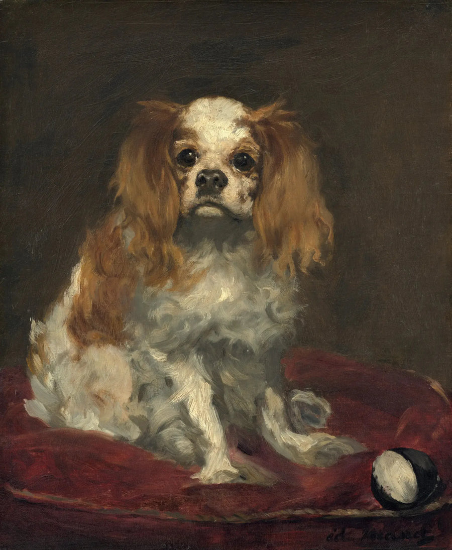Een King Charles spaniel - Édouard Manet
