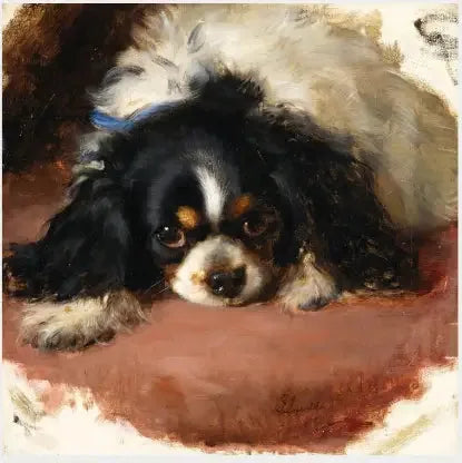 Een King Charles Spaniel - Edwin Henry Landseer

Source:
Un épagneul King Charles - Edwin Henry Landseer