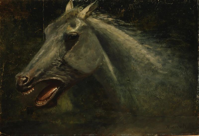 Een wilde hengst - Albert Bierstadt

Source:
Un étalon sauvage - Albert Bierstadt