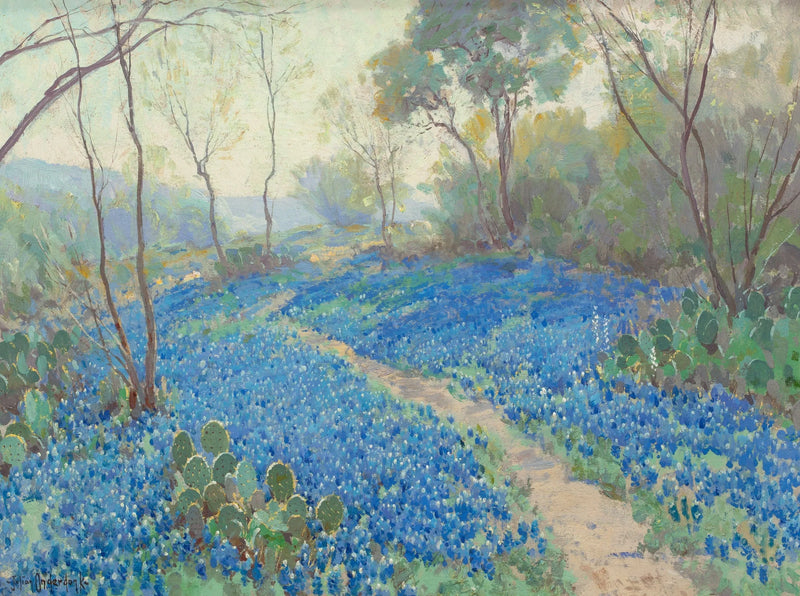 Een heuvelhelling bedekt met blauwe lupines, vroeg in de ochtend, nabij San Antonio, Texas. - Julian Onderdonk