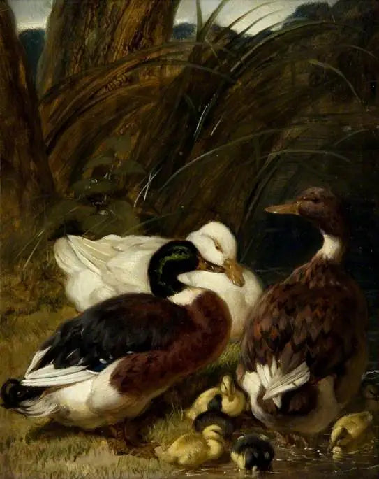 Een groep eenden - John Frederick Herring, Sr.

Source:
Un groupe de canards - John Frederick Herring, Sr.