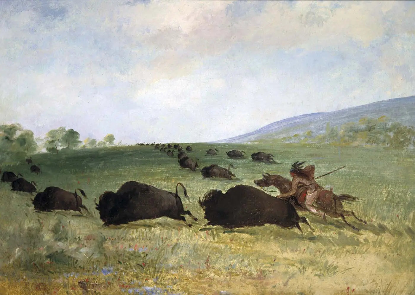 Un Indien Osage lance un buffle - George Catlin - Alpha Reproduction