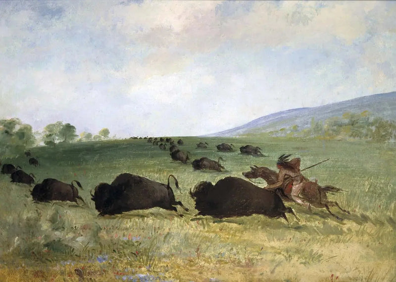 Een Osage-indiaan lanceert een buffel - George Catlin

Source:
Un Indien Osage lance un buffle - George Catlin