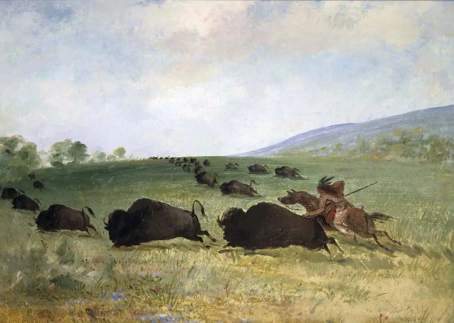 Een Osage-indiaan lanceert een buffel - George Catlin

Source:
Un Indien Osage lance un buffle - George Catlin