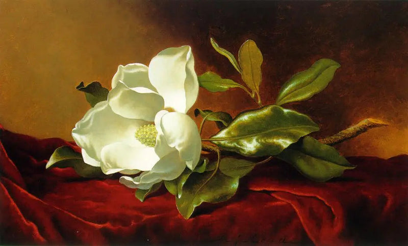 Een magnolia op rood fluweel - Martin Johnson Heade

Source:
Un magnolia sur du velours rouge - Martin Johnson Heade