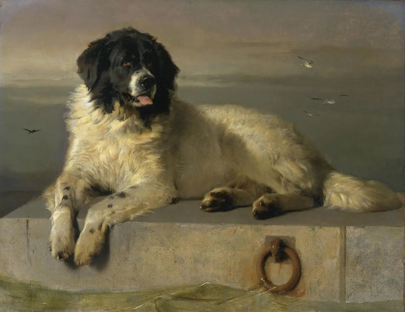 Een vooraanstaand lid van de Humane Society - Edwin Henry Landseer

Source:
Un membre distingué de la Humane Society - Edwin Henry Landseer