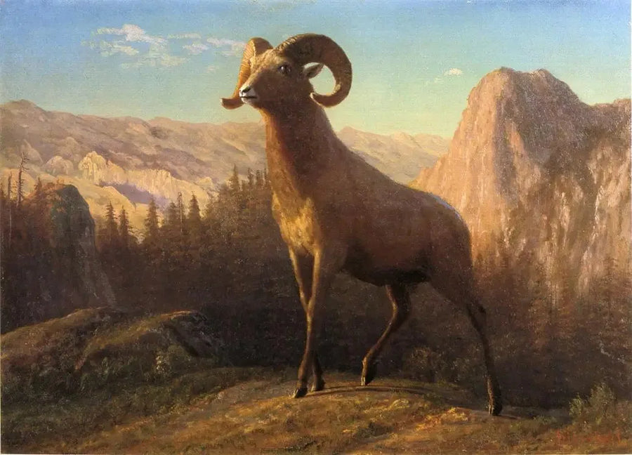 Een schaap uit de Rocky Mountains, Ovis, Montana - Albert Bierstadt

Source:
Un mouton des montagnes Rocheuses, Ovis, Montana - Albert Bierstadt