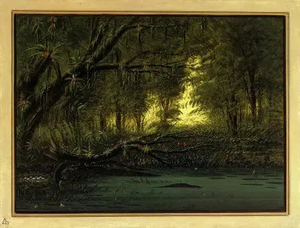 Een alligatornest - George Catlin

Source:
Un nid d'alligator - George Catlin