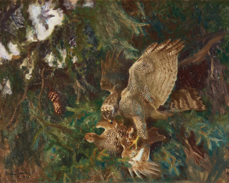 Un oiseau de proie frappe sa proie - Bruno Liljefors