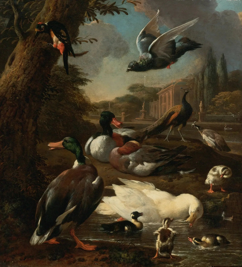 Een pauw, een duif, eenden en andere vogels in een tuin - Melchior de Hondecoeter