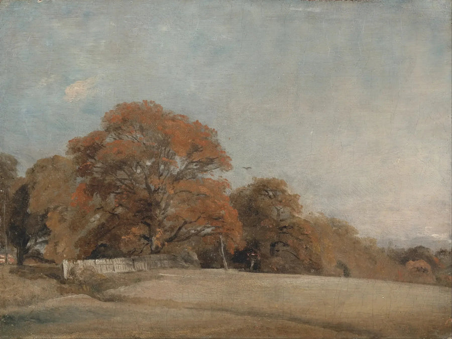 Een herfstlandschap in East Bergholt - John Constable