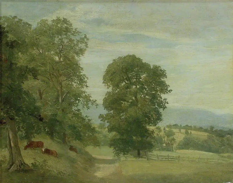 Een landschap uit Suffolk - John Constable