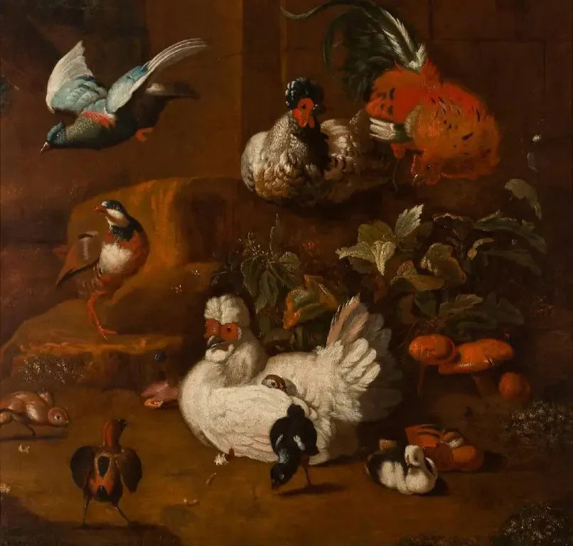 Een verzameling vogels - Melchior de Hondecoeter