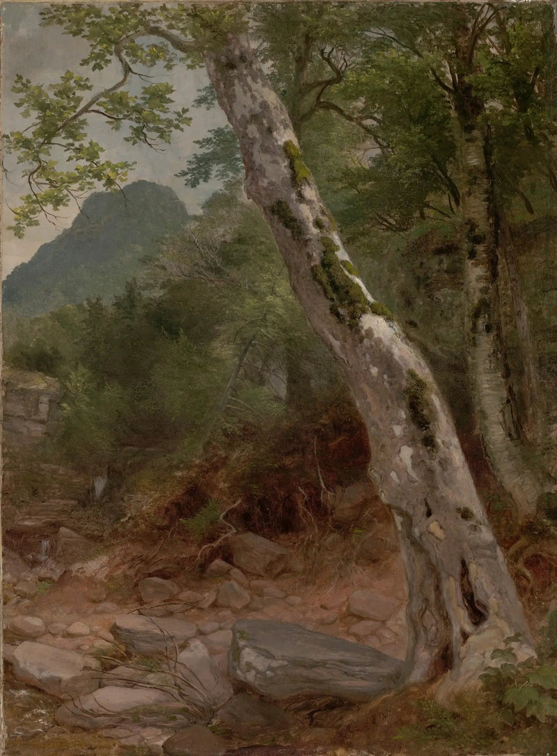Een sycomore, Plaaterkill Clove - Asher Brown Durand

Source:
Un sycomore, Plaaterkill Clove - Asher Brown Durand