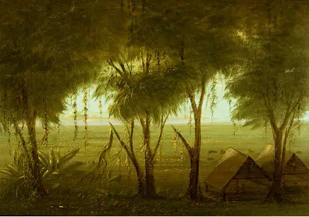 Een dorpje in Connibo - George Catlin

Source:
Un village de Connibo - George Catlin