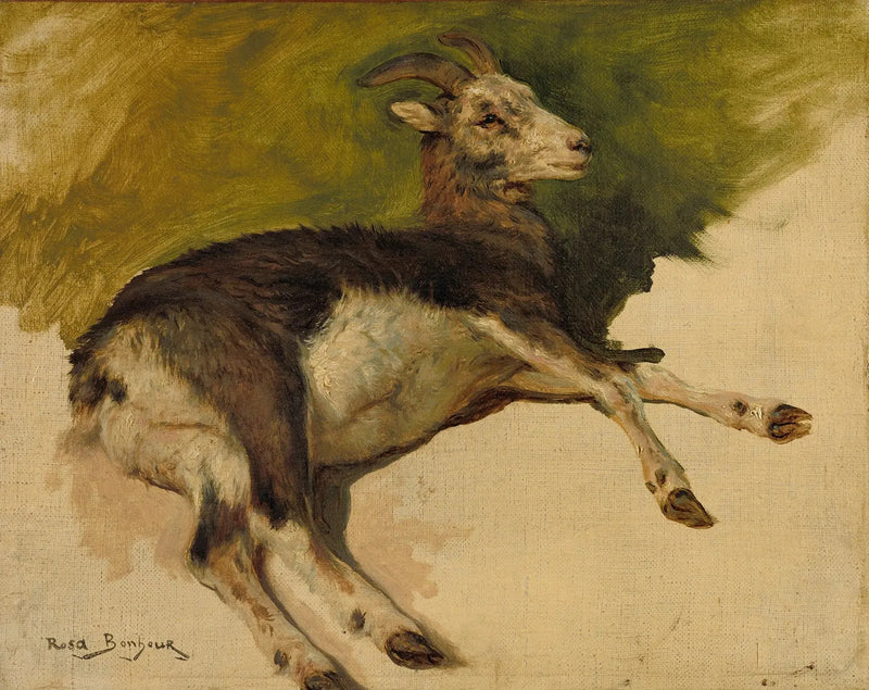 Een geit - Rosa Bonheur