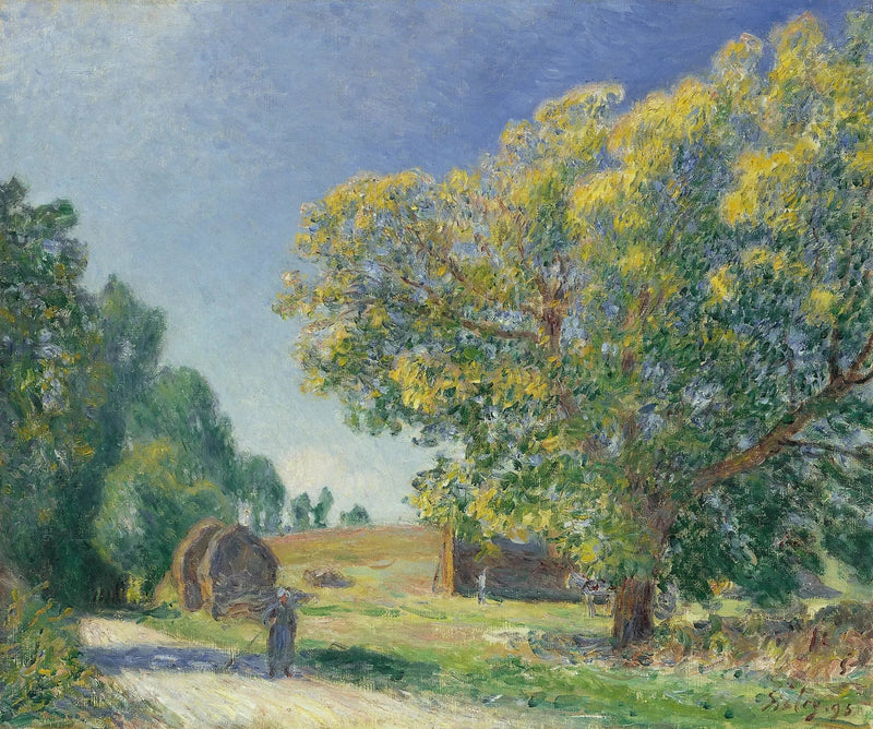 Een bosopen plek - Alfred Sisley