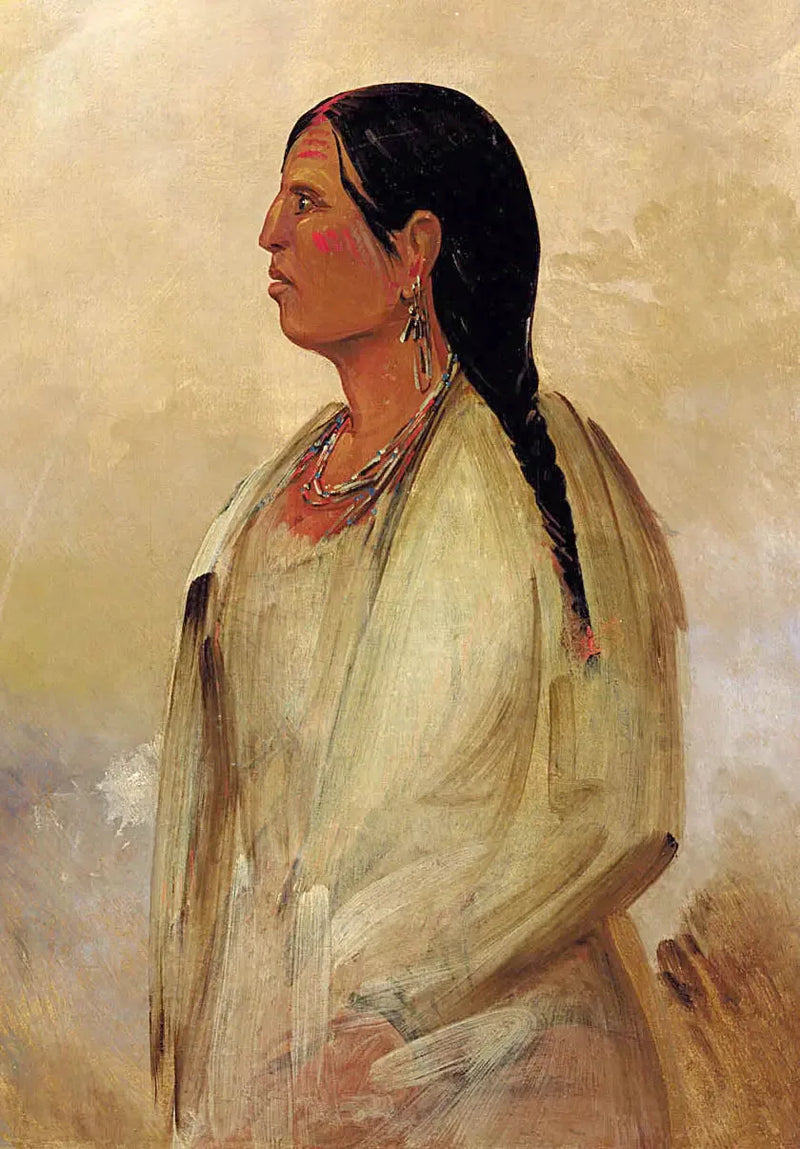 Een Choctaw-vrouw - George Catlin

Source:
Une femme Choctaw - George Catlin