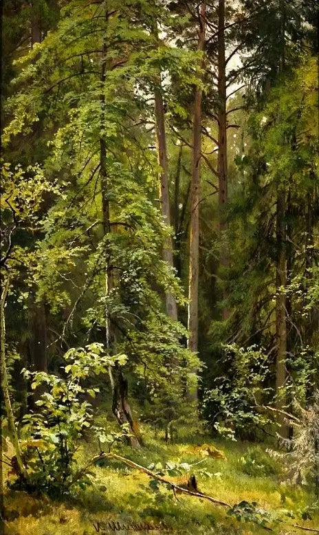 Une forêt - Ivan Chichkine image 1 copie de tableau peinte à la main