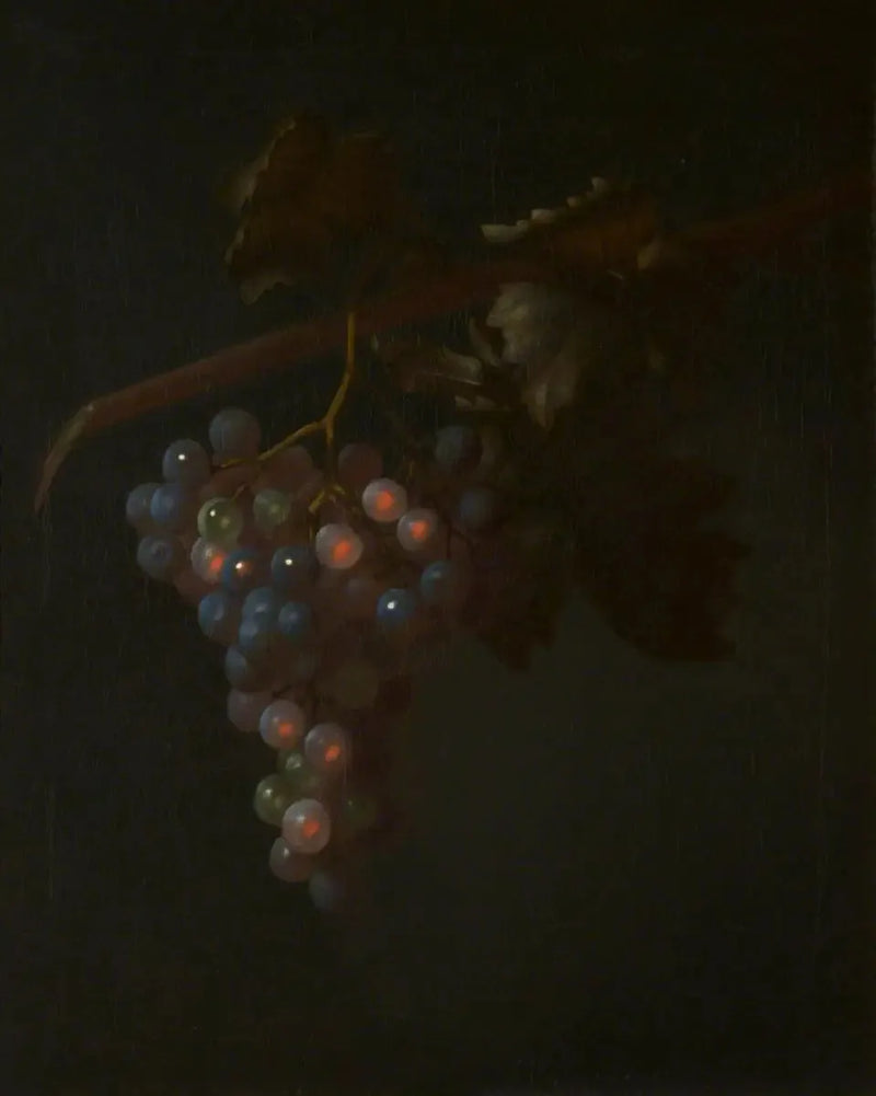 Een tros druiven - Tobias Stranover

Source:
Une grappe de raisin - Tobias Stranover