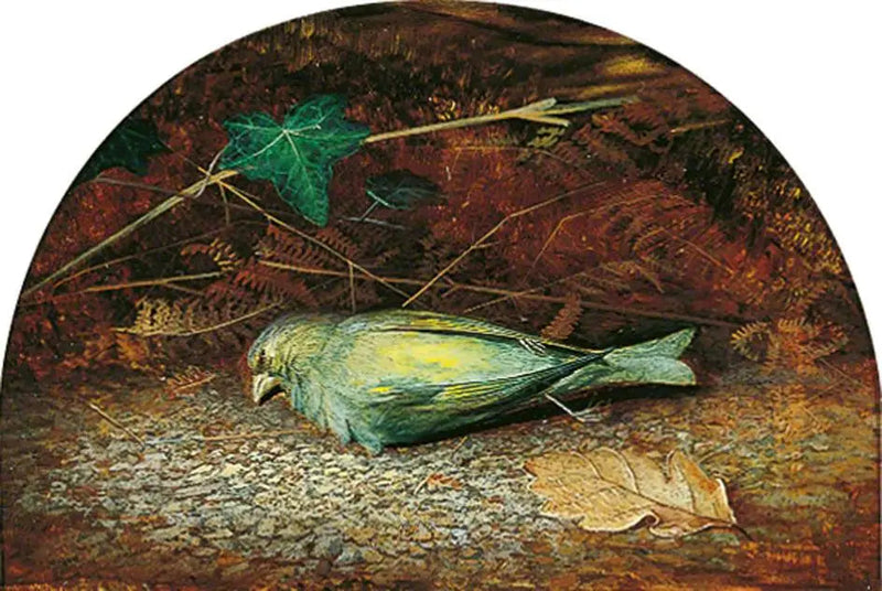 Een dode vink - John Atkinson Grimshaw

Source:
Une linotte morte - John Atkinson Grimshaw