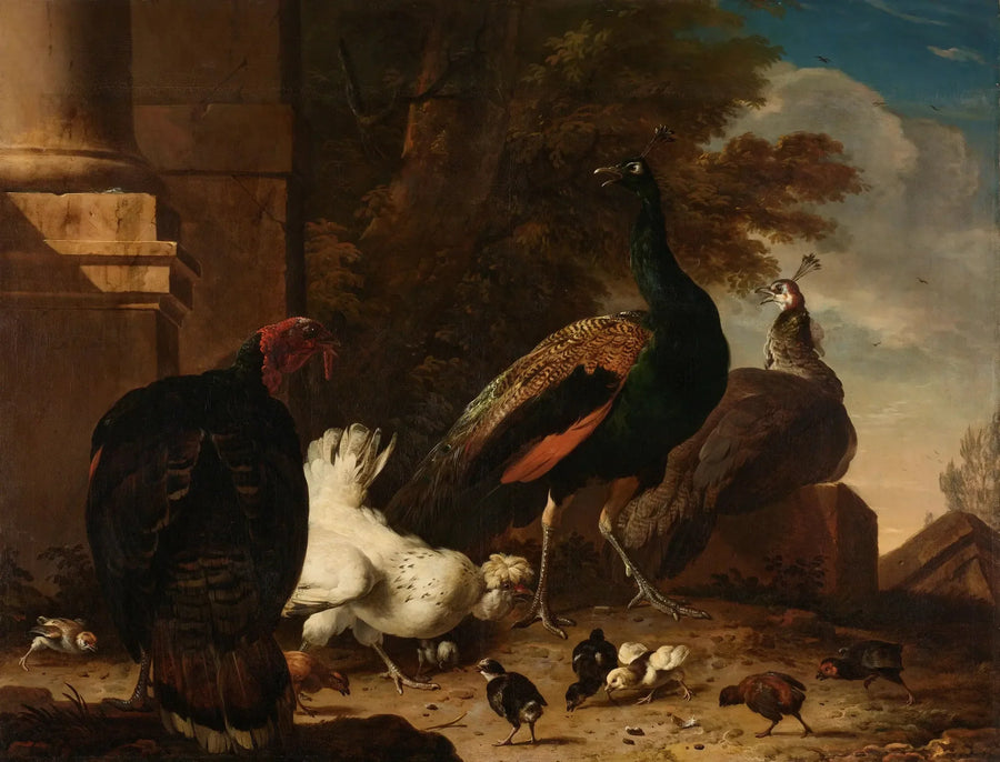 Een kip met pauwen en een kalkoen - Melchior de Hondecoeter