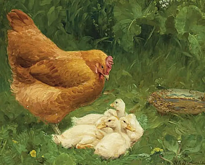 Een kip en een paar eendjes. - H. A. Brendekilde

Source:
Une poule et quelques canetons. - H. A. Brendekilde