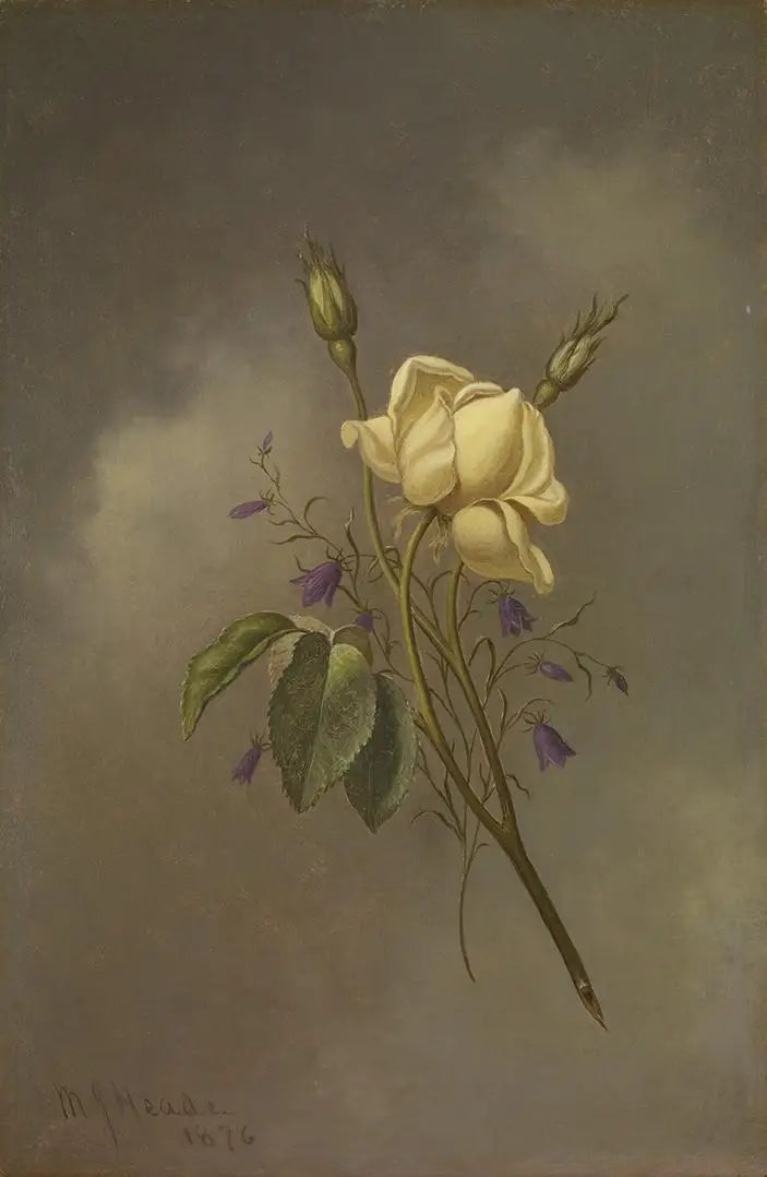 Een gele roos tegen een bewolkte hemel - Martin Johnson Heade

Source:
Une rose jaune contre un ciel nuageux - Martin Johnson Heade