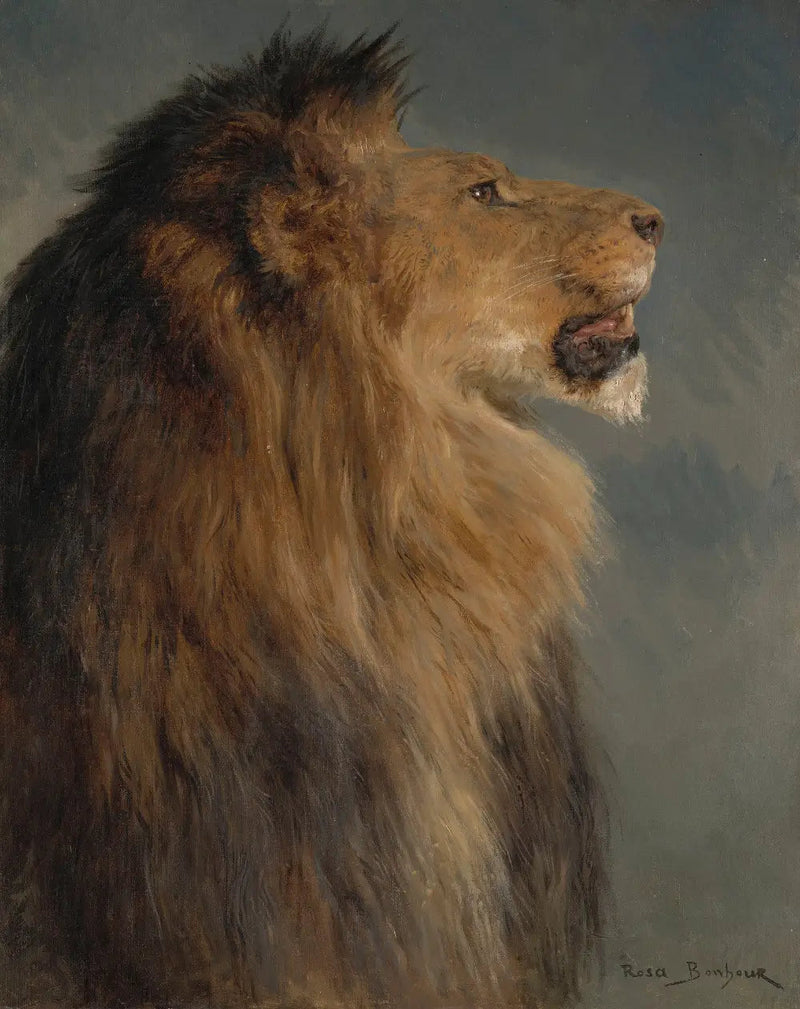 Een leeuwenkop - Rosa Bonheur