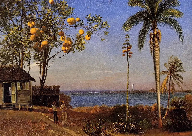 Een uitzicht op de Bahama's, olieverf op papier gemonteerd op board, 48,58 x 35,24 cm - Albert Bierstadt

Source:
Une vue aux Bahamas, huile sur papier marouflé sur boa, 48,58 x 35,24 cm - Albert Bierstadt