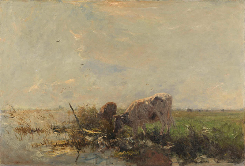 Vaches près d'une flaque d'eau - Willem Maris
