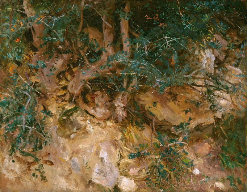 Valdemosa, Mallorca: distels en kruiden op een heuvel - John Singer Sargent